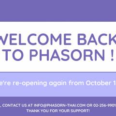 Welcome back to Phasorn!