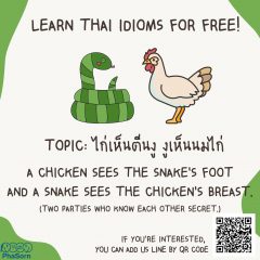 LEARN THAI IDIOMS WITH PHASORN BY ZOOM FOR FREE!