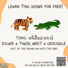 Learn Thai idioms with Phasorn by Zoom for FREE!